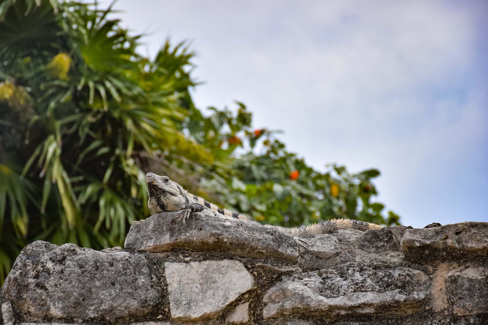 tulum ruins