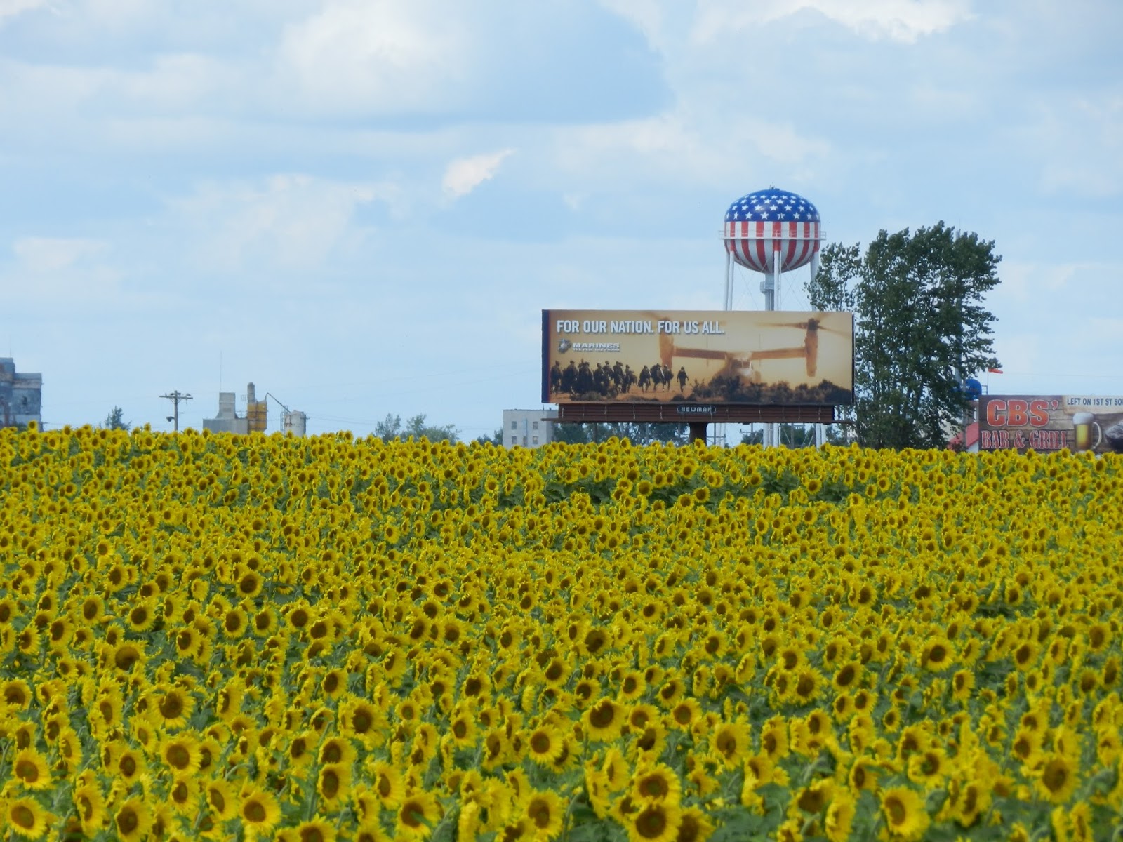 Carrington, North Dakota August 2016