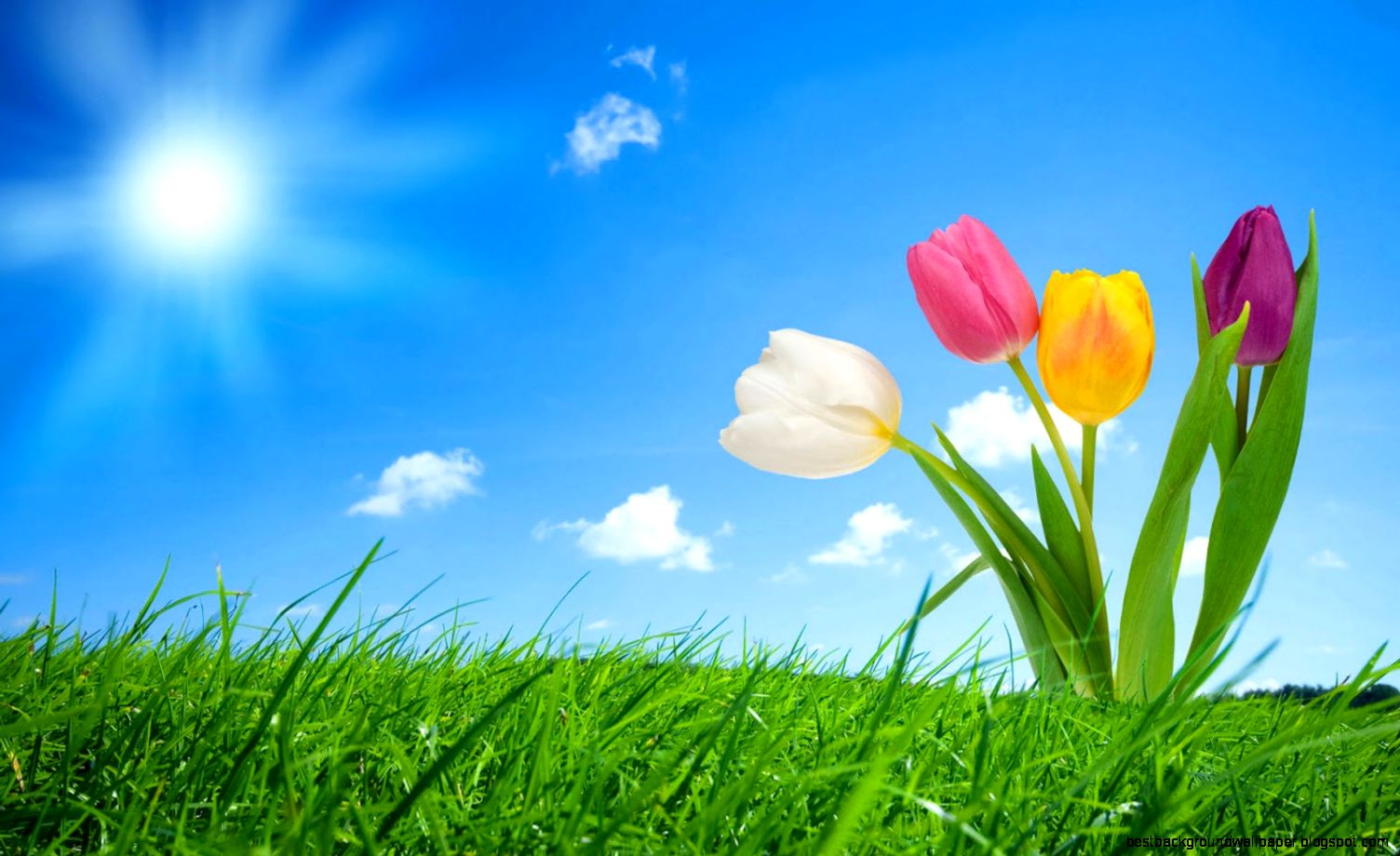 Free Spring Desktops
