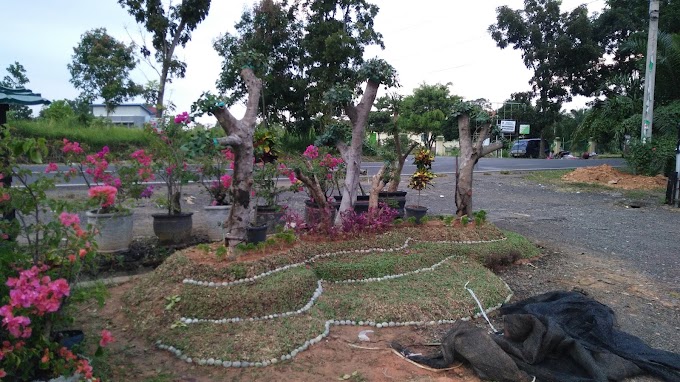 RUMAH KECIL DENGAN TAMAN MINIMALIS JADI INDAH