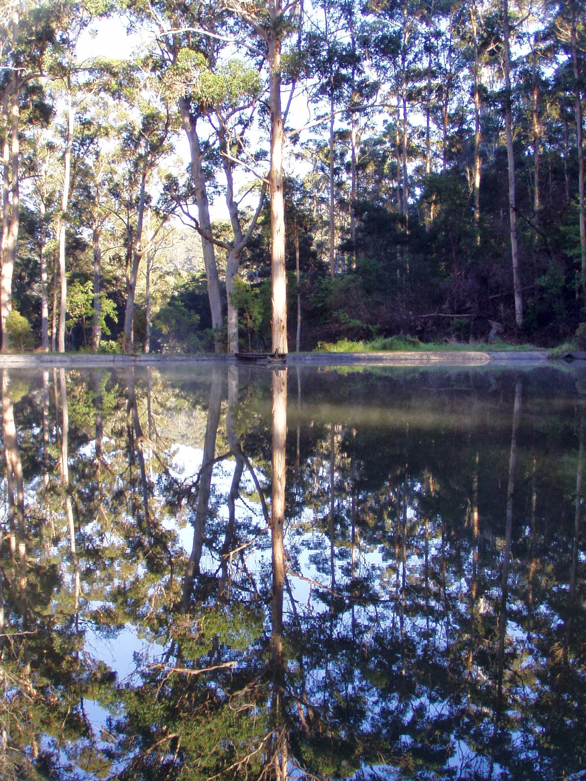 Observations in an undemocratic world Visiting Pemberton