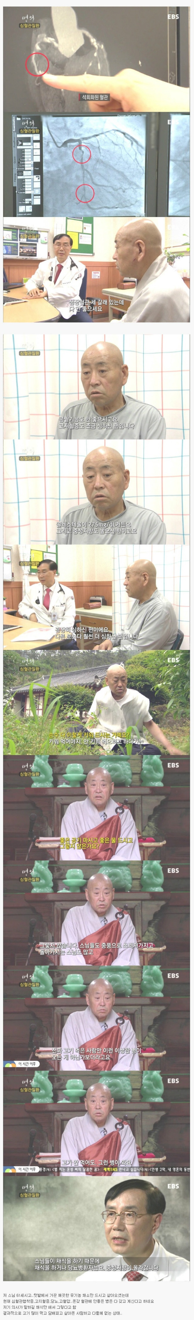 채식이 좋은것만은 아니다 | 인스티즈