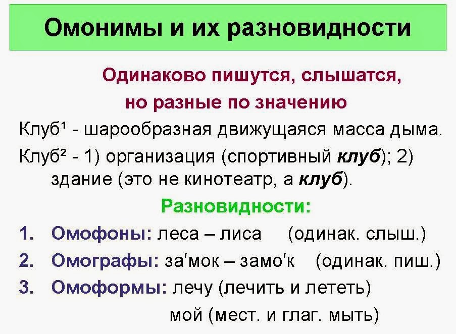 Омонимы. Одинаковое произношение но разное значение. Омонимы примеры. Слова омонимы. Слова которые пишутся и произносятся одинаково.