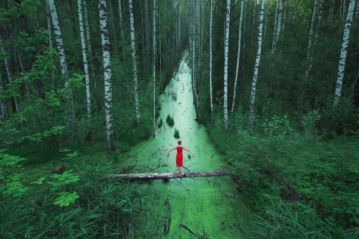 Forests without end, Russia