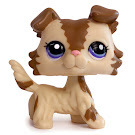 Littlest Pet Shop Multi Pack Collie (#2210) Pet