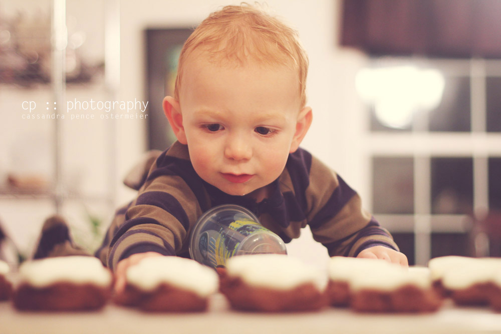 sassafras craft not cook baking