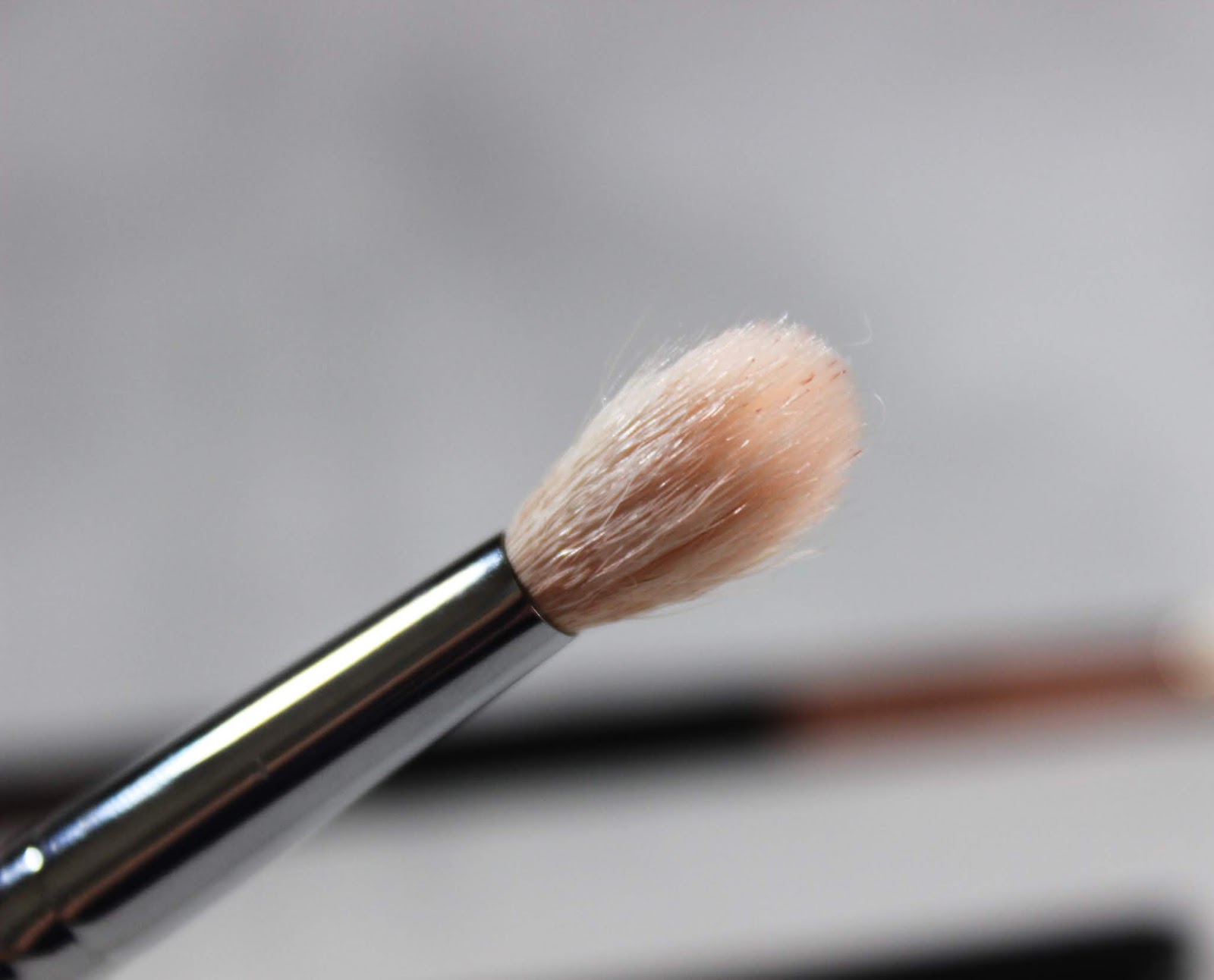 Sigma Brushes vs. Morphe Brushes Dupes? Hannah Ra