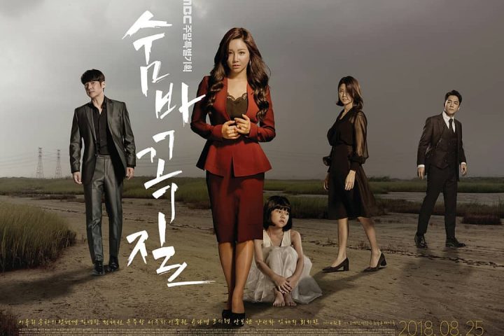 Download Drama Korea Hide and Seek Sub Indo Batch
