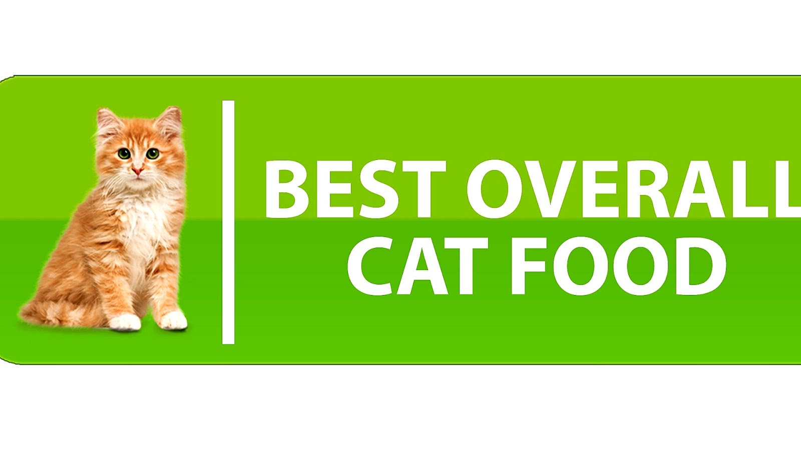 Best Rated Canned Cat Food Cat Choices