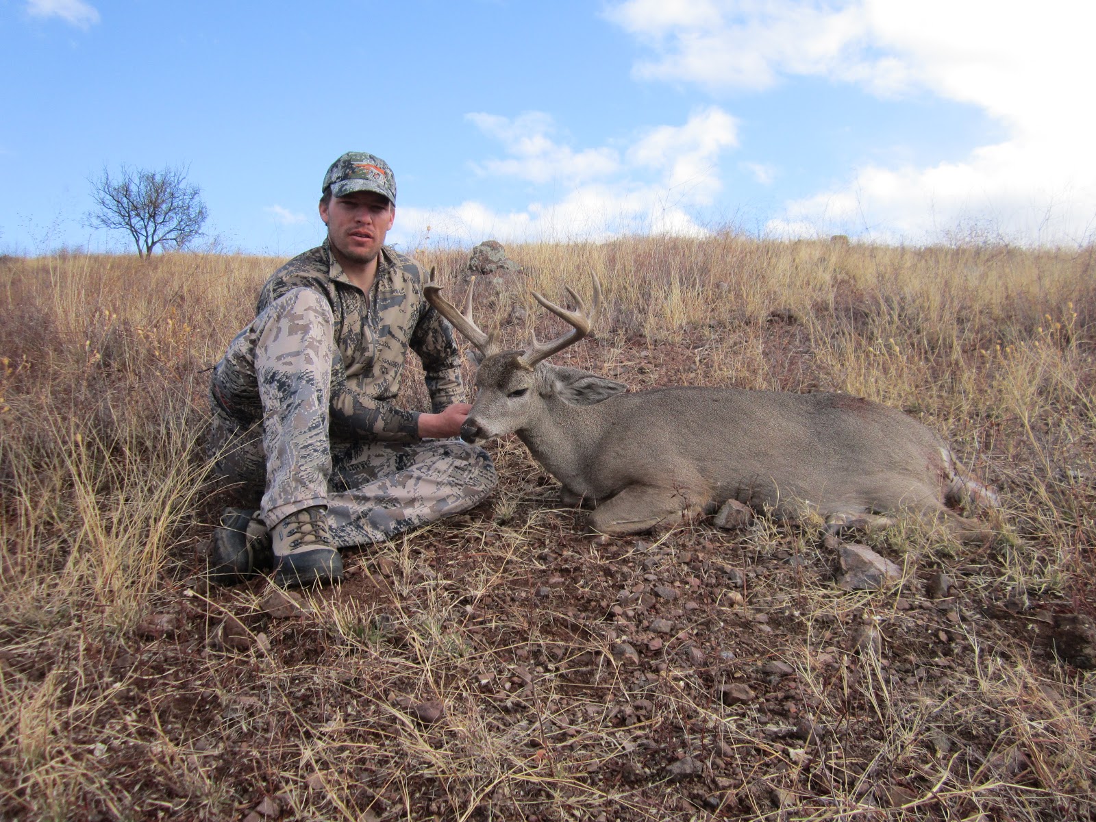 High Desert Outfitters Broc Brimhall's Mexico Coues