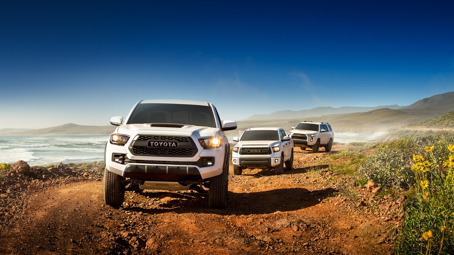 Mount Airy Toyota The Toyota TRD Pro Family
