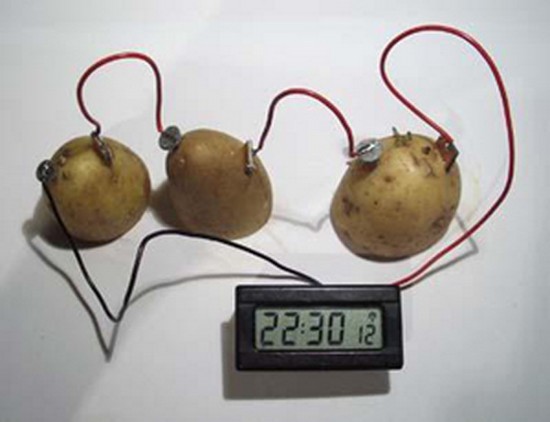 Pictures Of Battery Potato 18