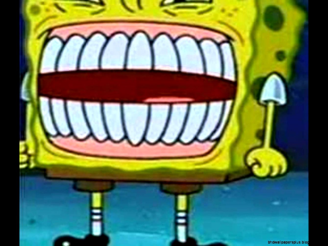 Spongebob39s funniest moments   YouTube