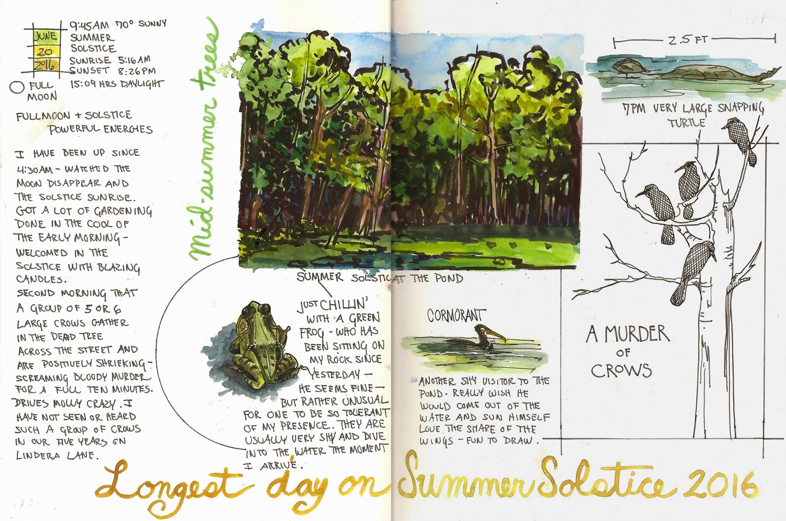 Jan Blencowe's Sketchbook Hypothesis 7 Steps to Creating a Nature