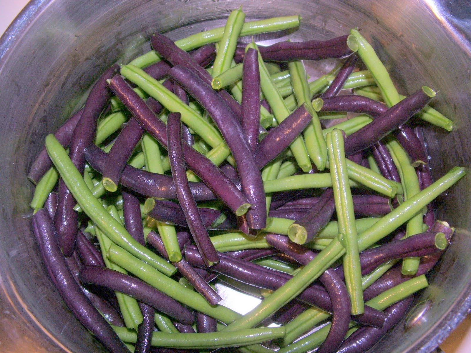 God's Growing Garden The Magic Purple Bean