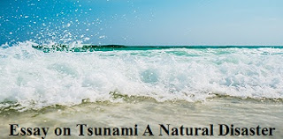 Essay on tsunami