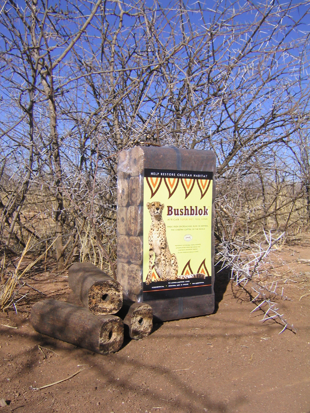 Cheetah News Chipping Away at Bush Encroachment