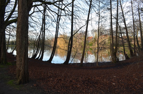 Huntesternchen Februar 2016
