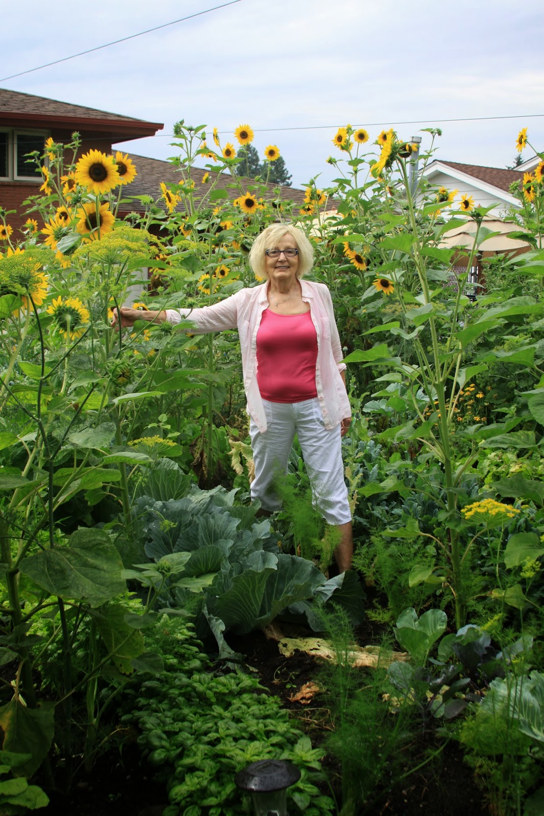 Aug. 10 column: Mary Lee Gaston - Susan's in the Garden