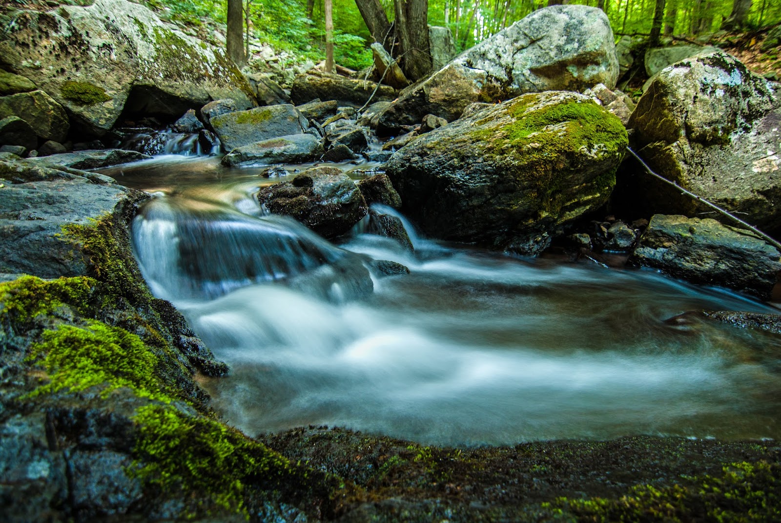 Litton's Fishing Lines Electric Brook Schooley's Mountain Park Morris