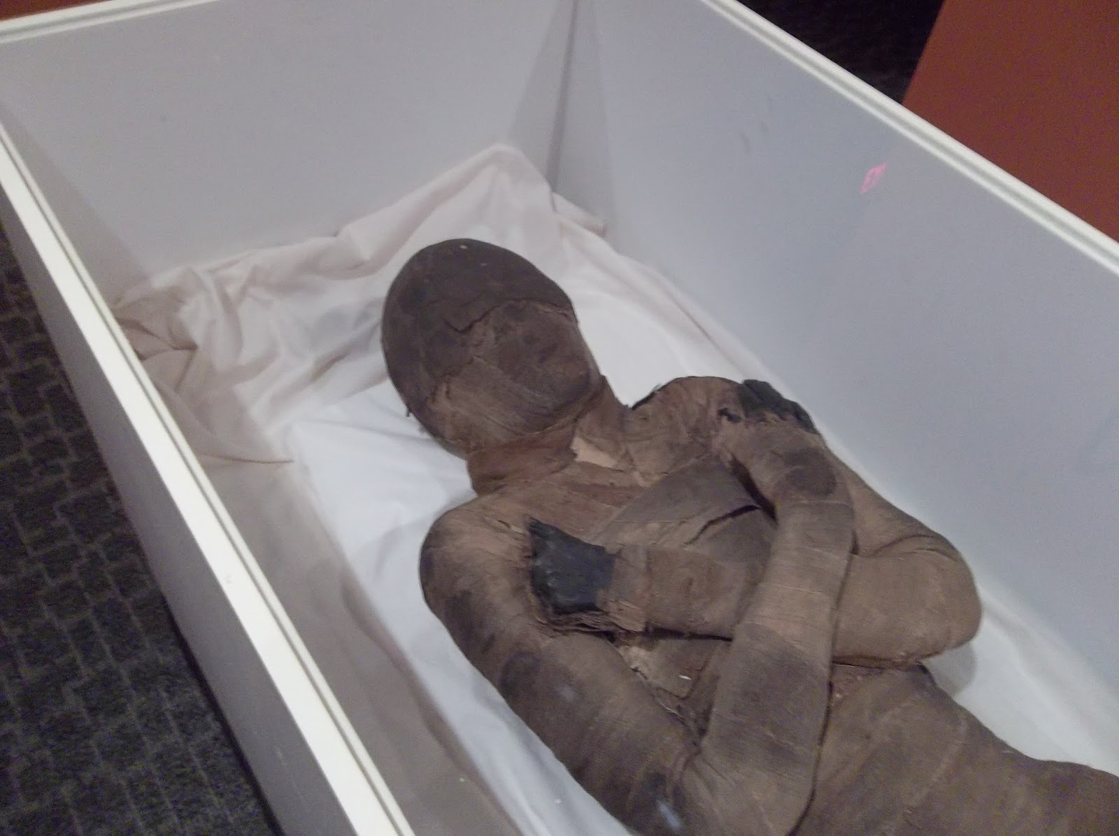 Travels of a Hobgoblin Taphophile (Mummy) Ohio History Center