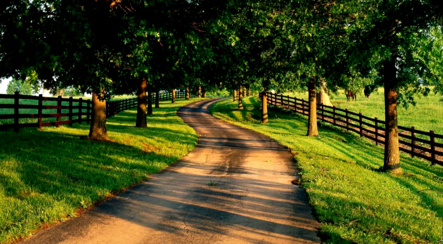 Backgrounds For Desktop Summer Important Wallpapers