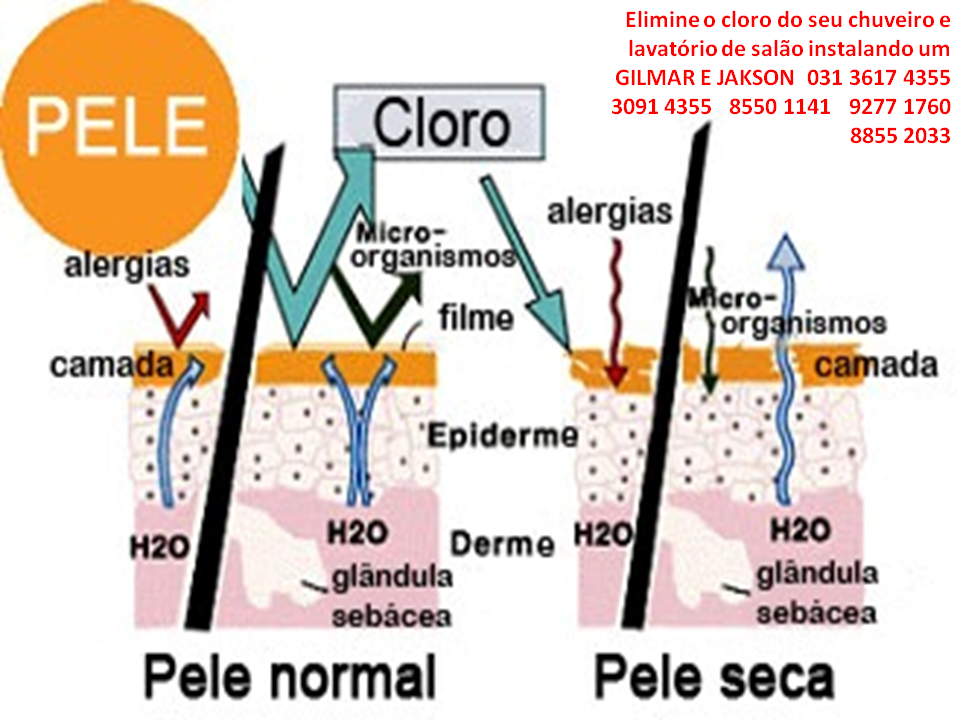 EBENEZER REPRESENTAÇÕES Os malefícios do cloro