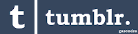 Tumblr Logo Text Font and Color Used