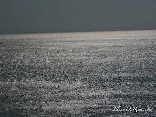 MsElenaeous Rants & Raves: Virginia Beach