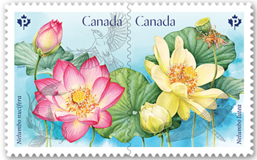 Canadian Brides - Cool Floral Stamps! : r/weddingplanning