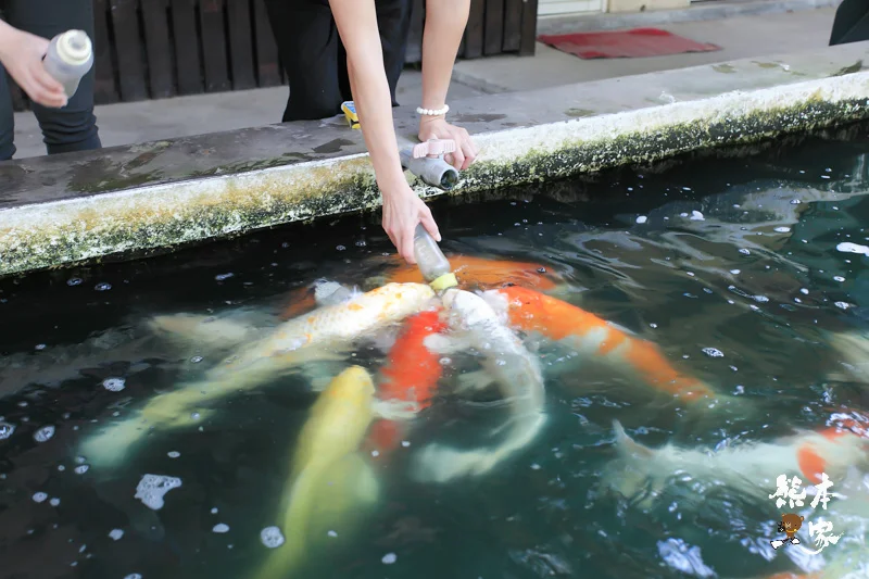 餵魚喝ㄋㄟㄋㄟ、碾米、拔蔥做蔥油餅|宜蘭親子農場DIY活動、童話村生態農場親子活動