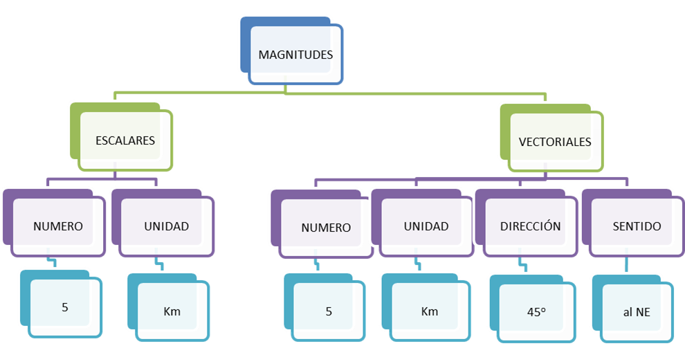 5 Ejemplos De Magnitudes Escalares arbol