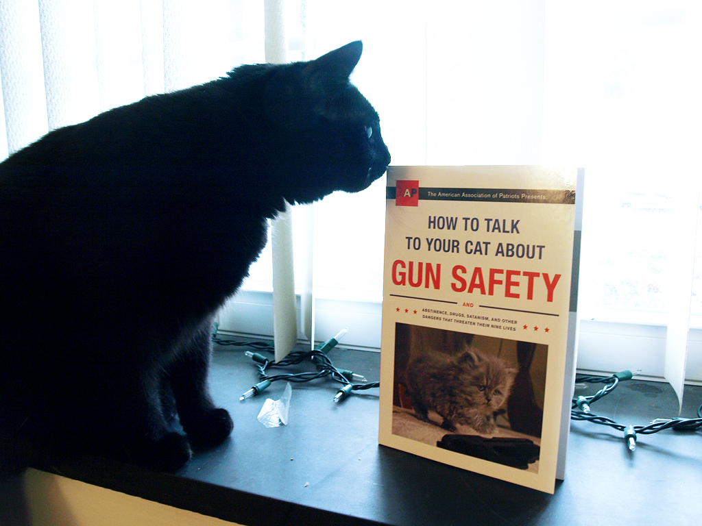 How to Talk to Your Cat about Gun Safety by Zachary Auburn, Paperback