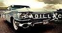 Cadillac Logo Cars Wallpaper Hd Desktop
