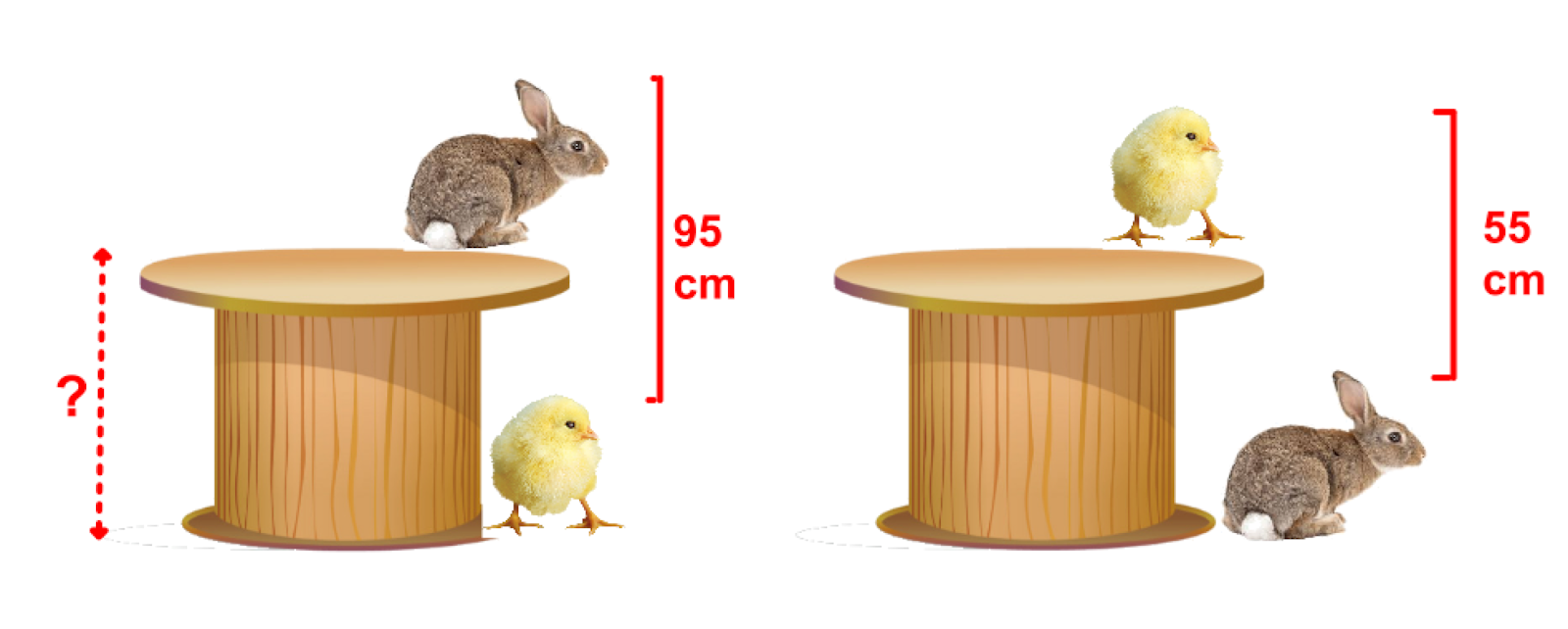 Puzzles and Figures: Problem 106: Height of the table