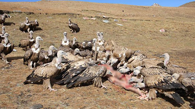 Sky Burial Tibet