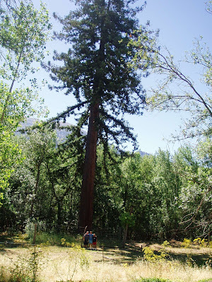 Huéscar-1: Precipitación altura