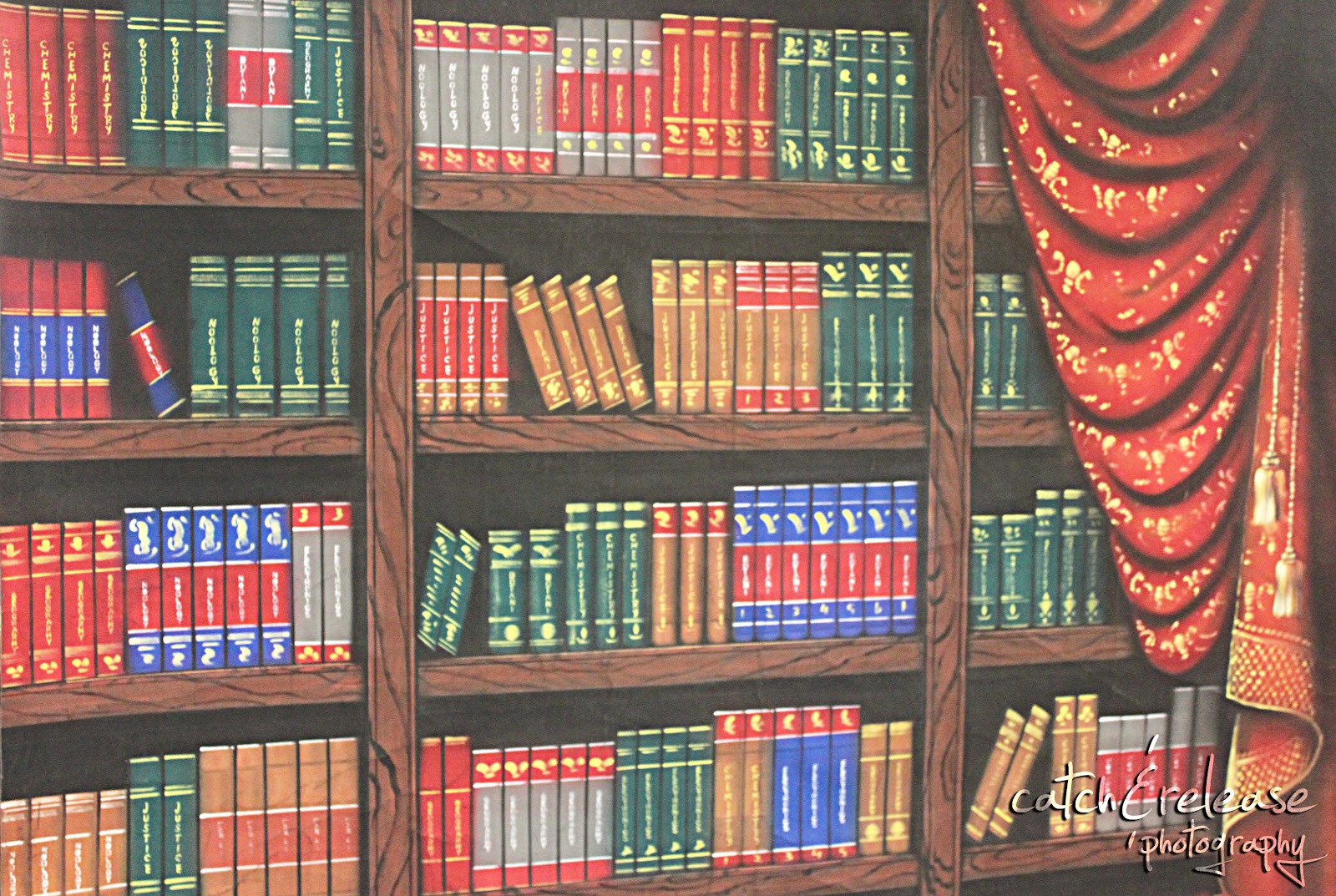 Background Wisuda