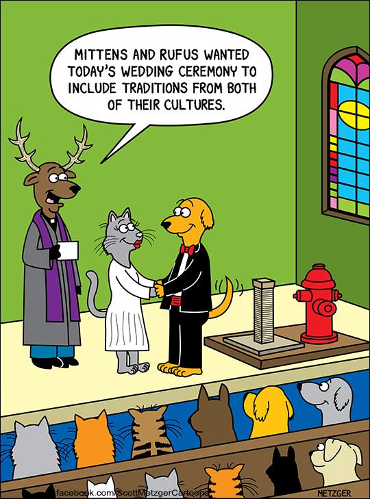 See the source image