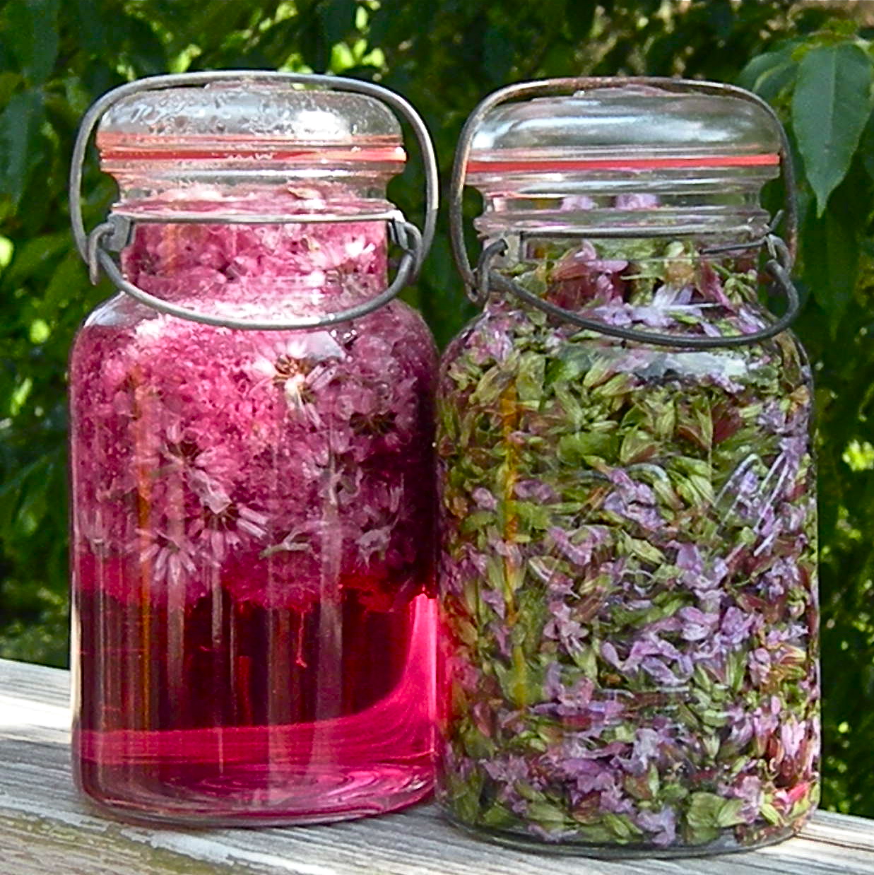 Shannon's Shanonigins Bite A Beautiful Blossom, Edible (Savory) Flowers