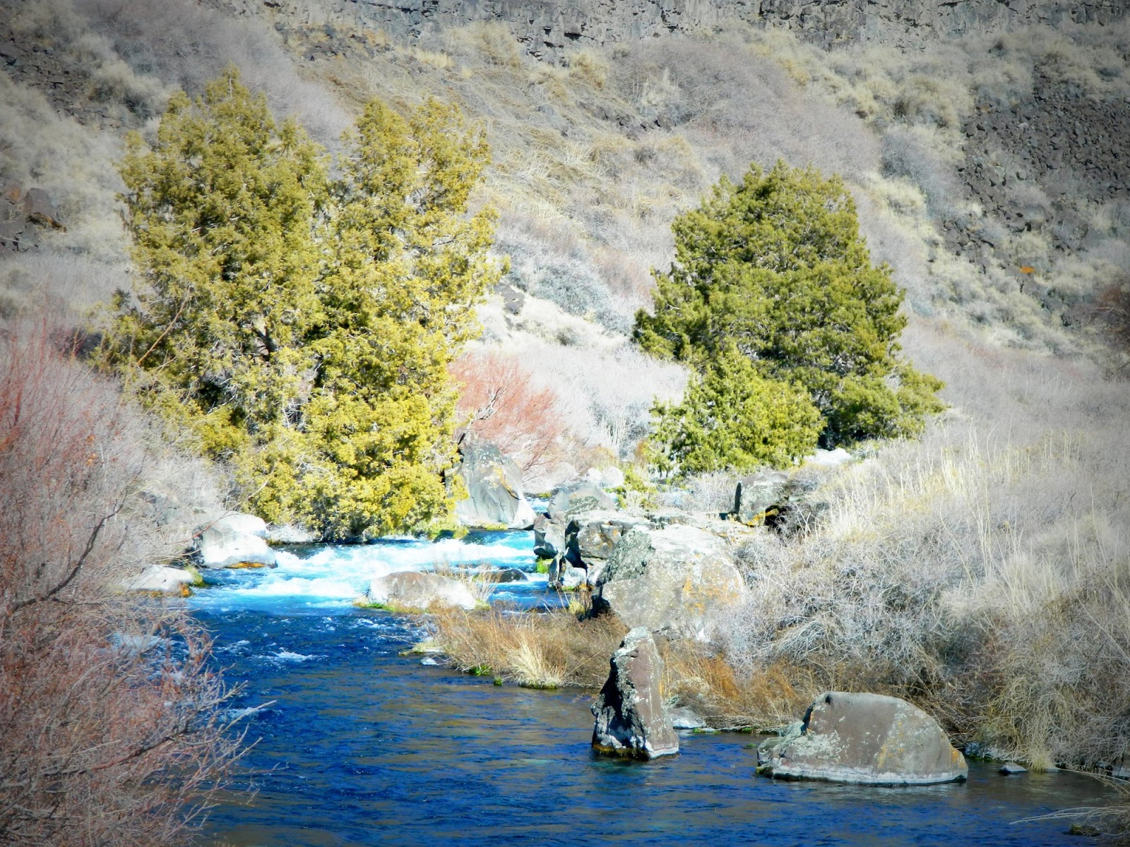 Living in Idaho Box Canyon Springs in February