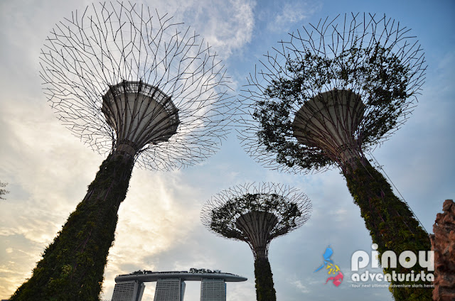 List of Free Things To Do in Singapore