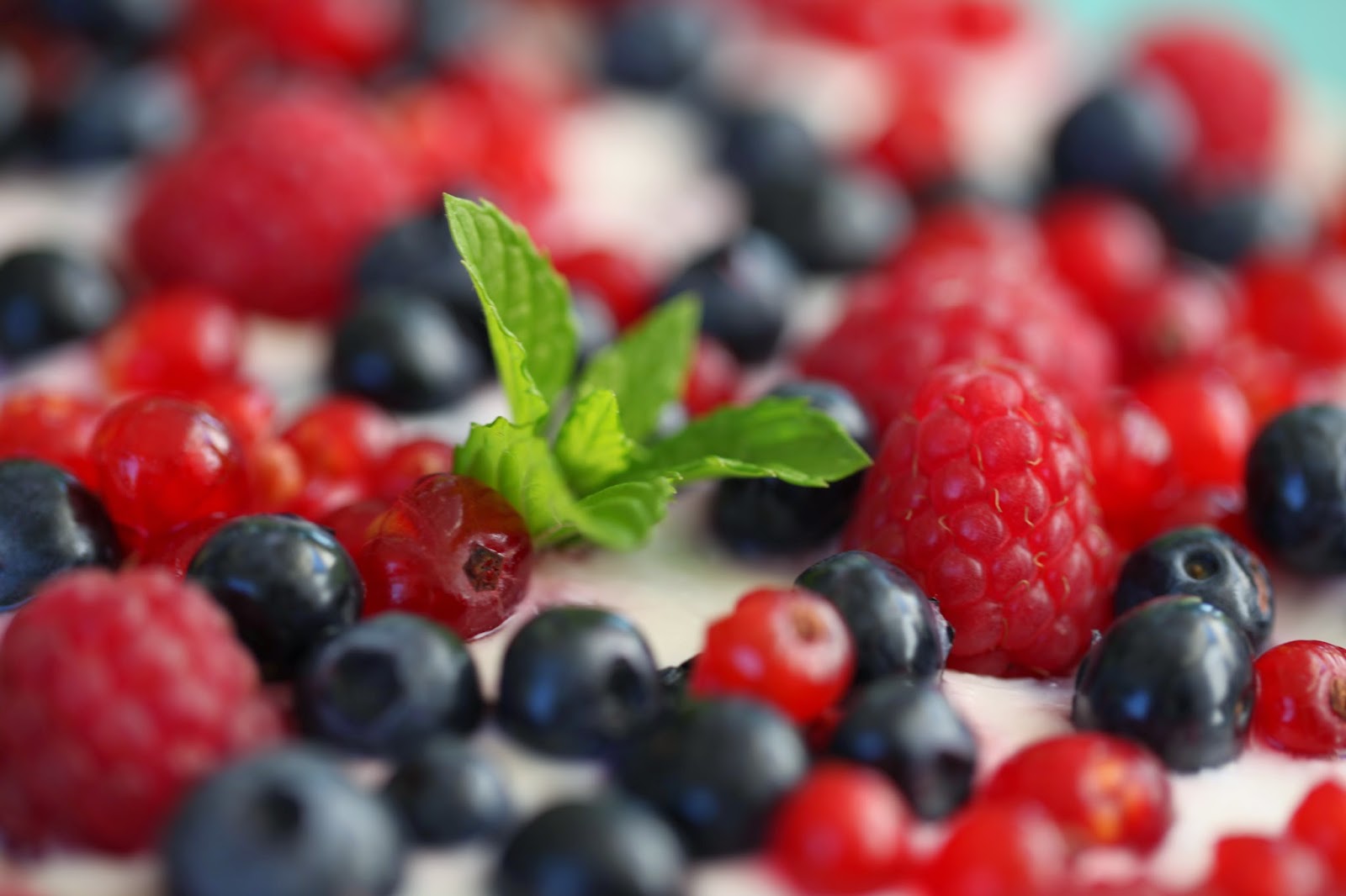 Amazing.: Gastbeitrag von meiner Tante Tine: Beeren- Frischkäsetorte