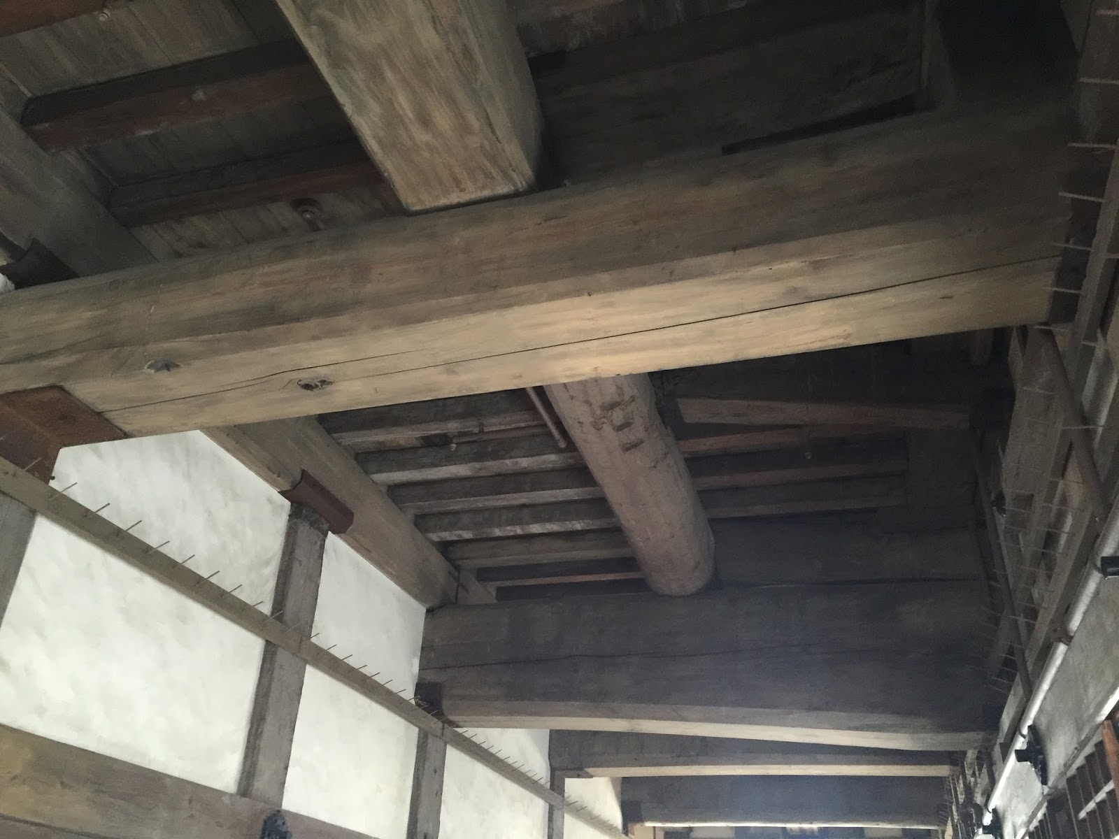 京都大阪秋之旅 天守閣 西大柱 東大柱 備前丸 帯の櫓 お菊井戸 魚虎 三國堀