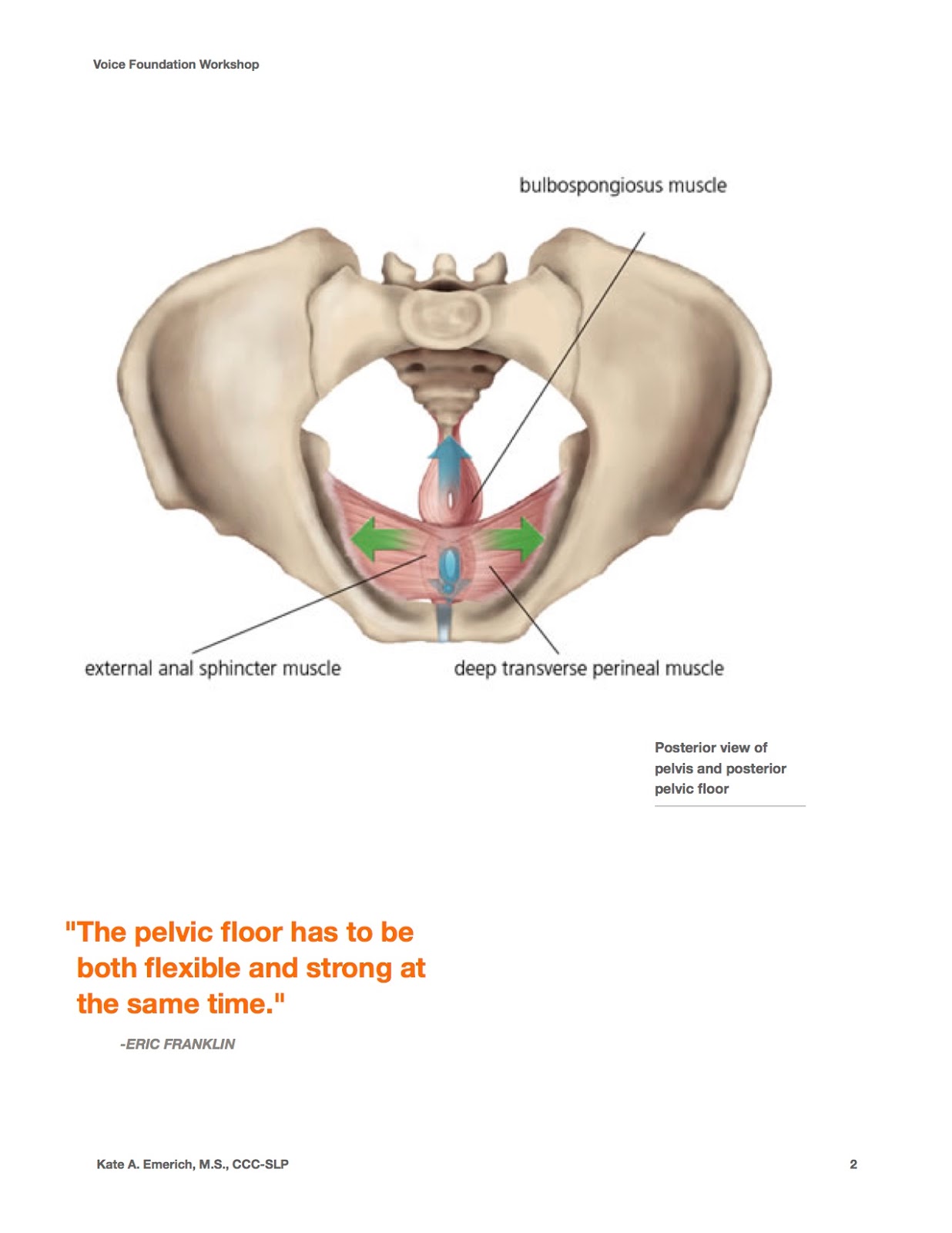 The Larynx Thinking inside and outside the Box In honor of Labor Day! (I know, wrong kind of