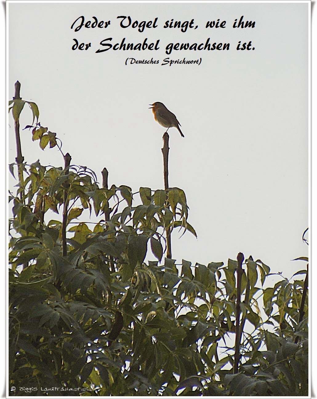 Zitate im Bild 29