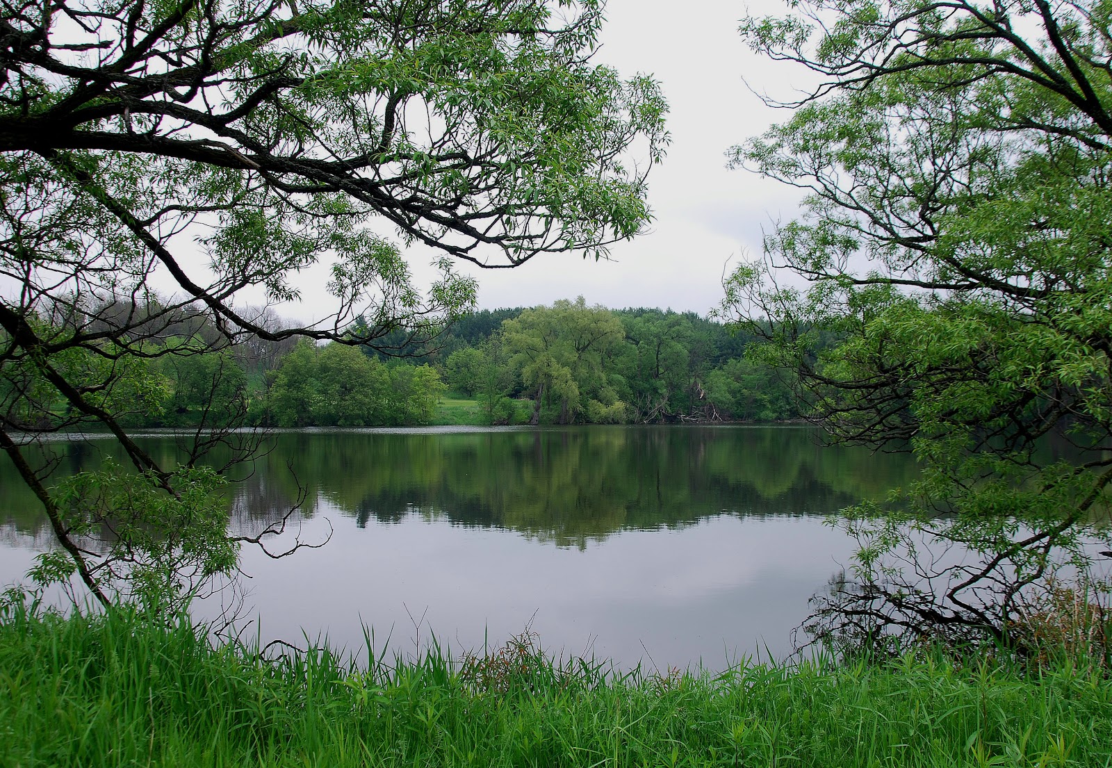 BARRY the BIRDER Spring settles in at Bell's Lake