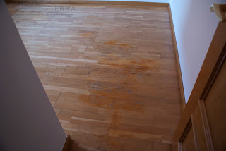 reparar parquet