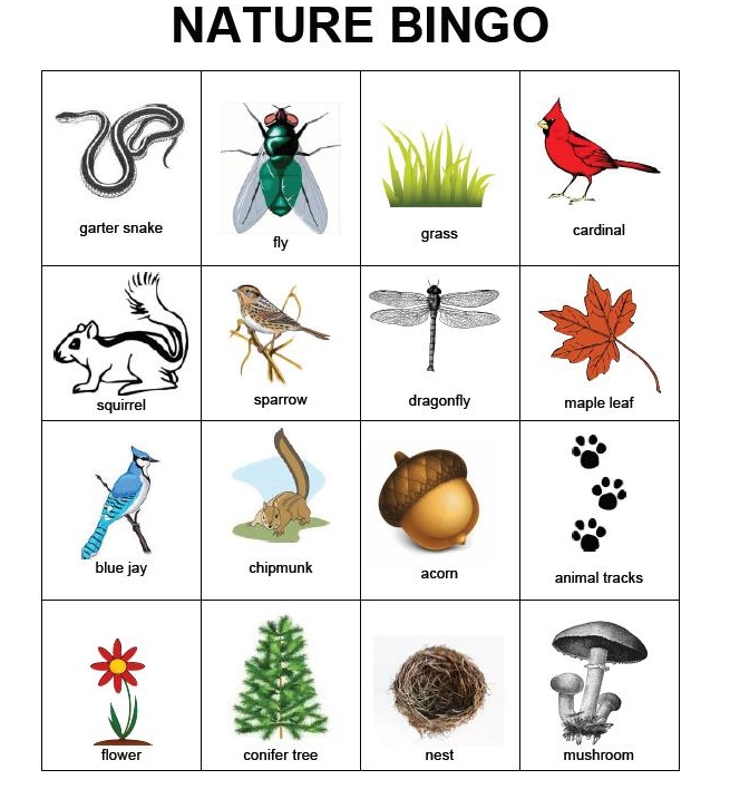 nature-bingo-momgineer