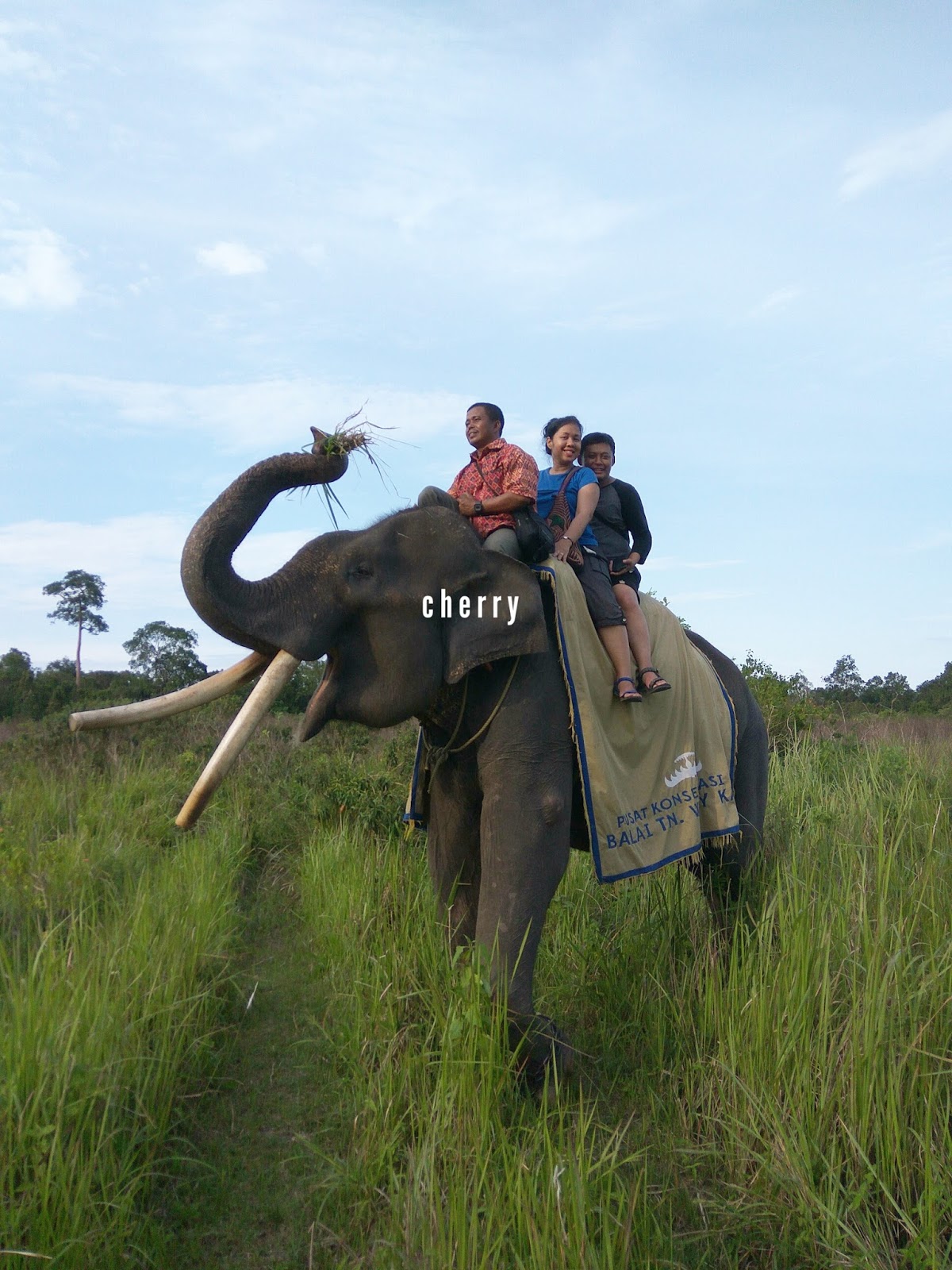 a little bit of my everyday Menikmati Gajah di Pelupuk Mata